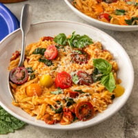 bowl of creamy orzo pasta with tomatoes, spinach, basil, vegan parmesan, and spices