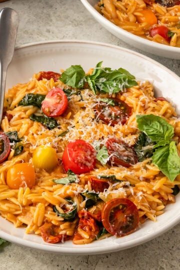 bowl of creamy orzo pasta with tomatoes, spinach, basil, vegan parmesan, and spices