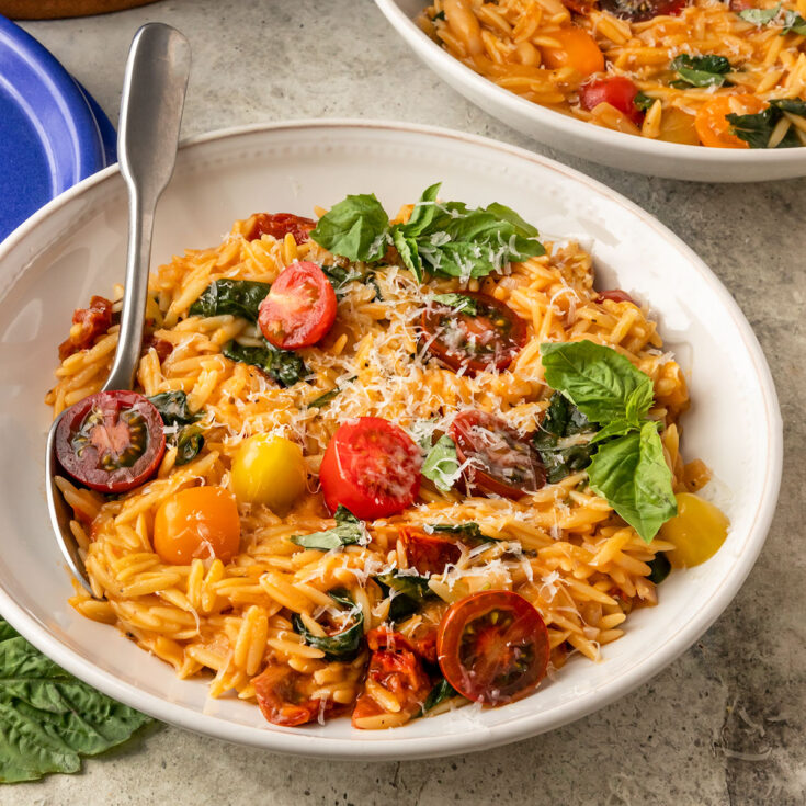 bowl of creamy orzo pasta with tomatoes, spinach, basil, vegan parmesan, and spices