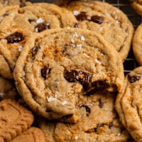 pile of cookie butter chocolate chip cookies with top cookie missing a bite.
