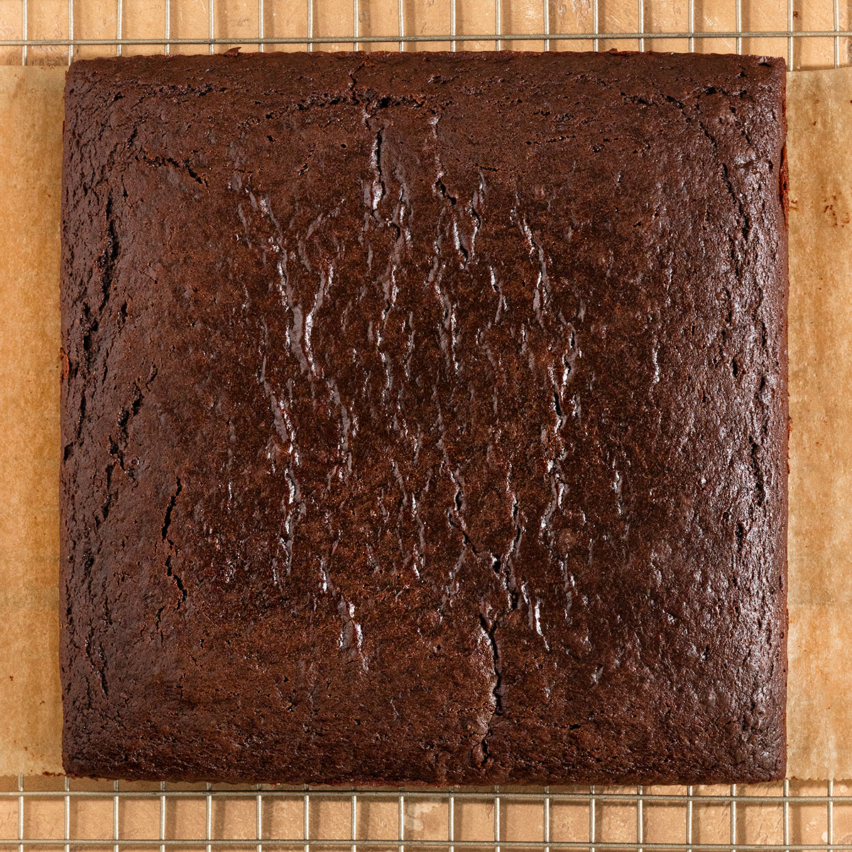 baked square chocolate cake on a wire rack.