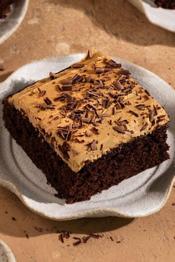 slice of chocolate cake with brown frosting and chocolate shavings on a plate surrounded by other slices of cake.