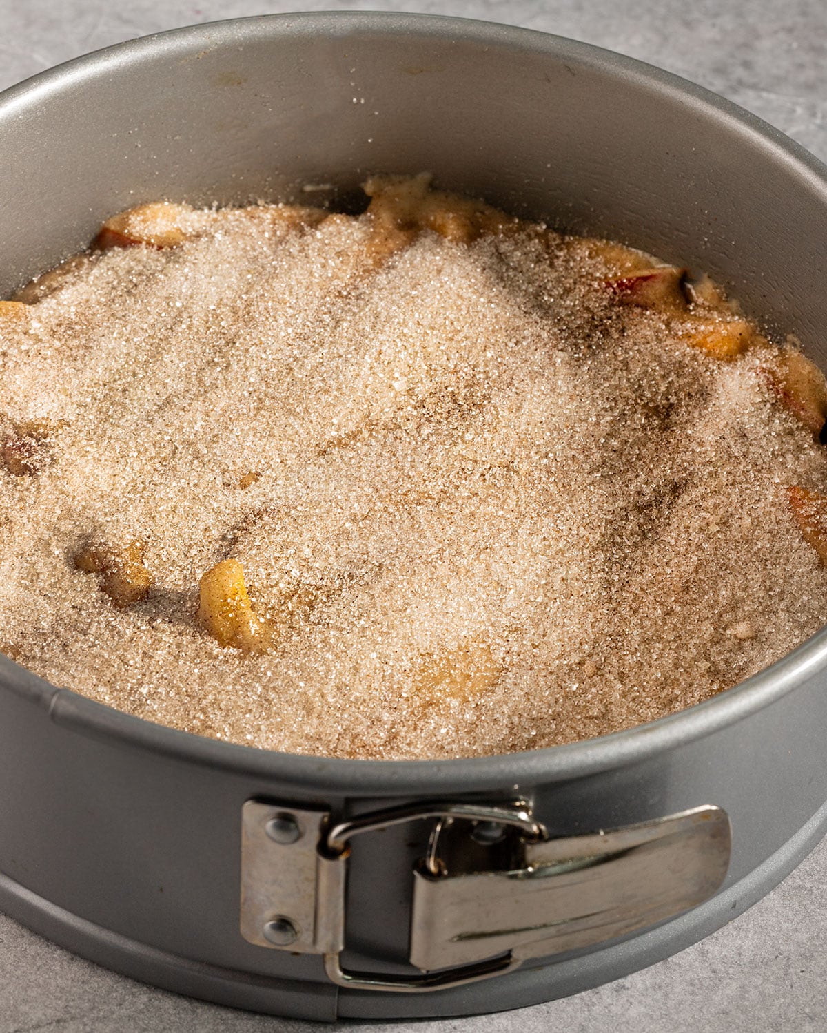 cake batter with sugar on top in a circular springform pan.