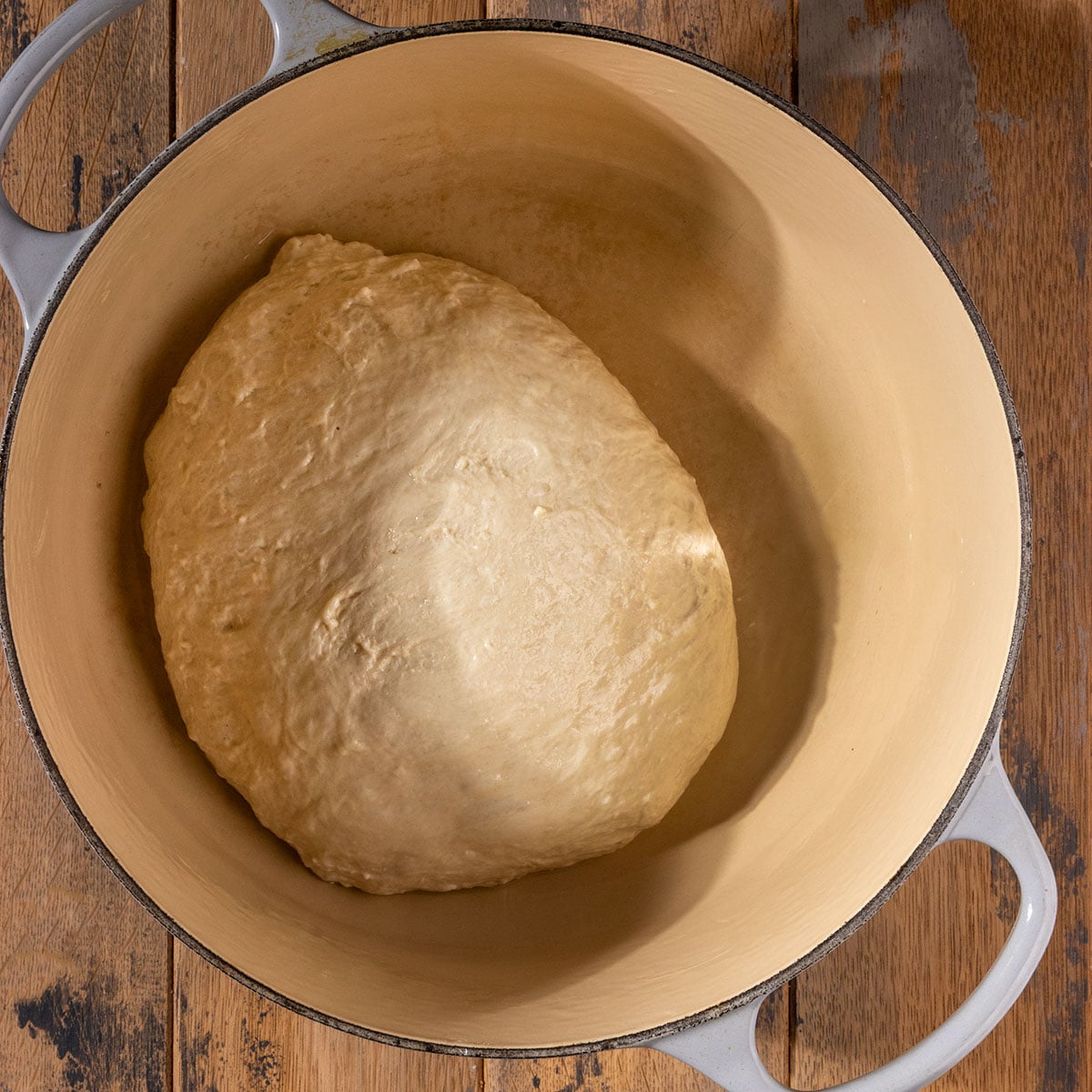 dutch oven filled with a ball of bread dough.